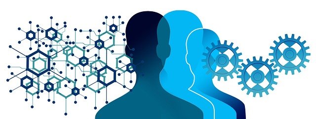 Gestión armónica de la Innovación y de la Calidad.