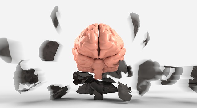 Misteriosa enfermedad cerebral